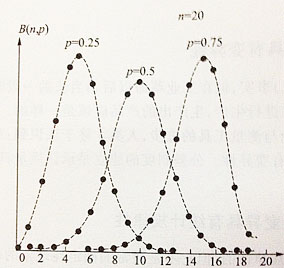 二项式分布
