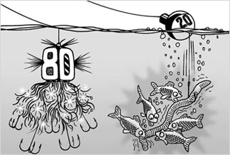 盈飞无限——质量艺术：无处不在的帕累托法则